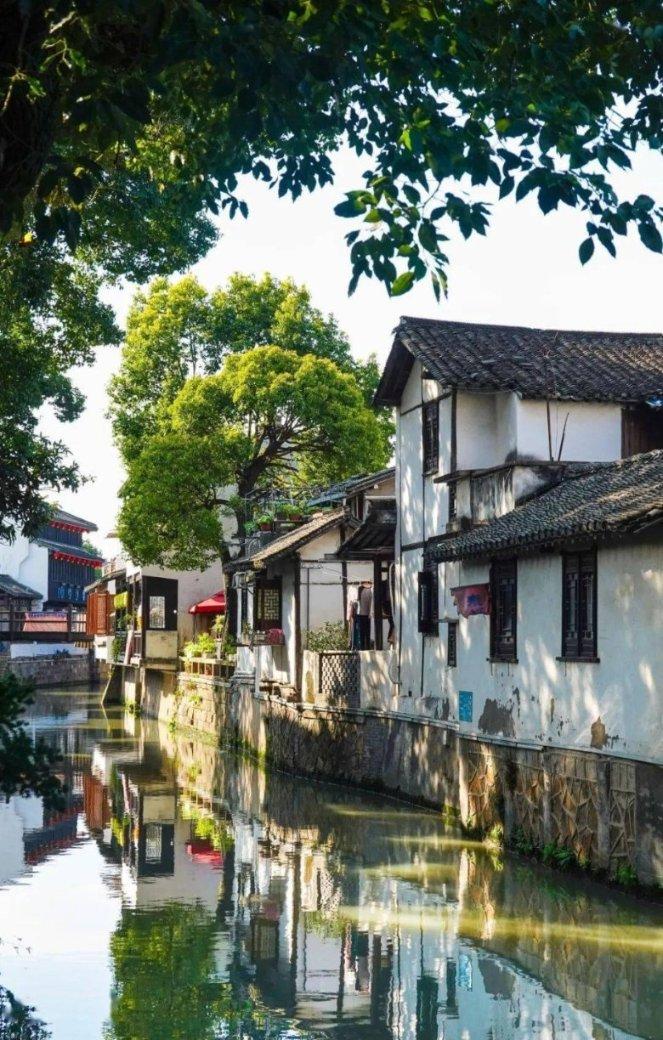 青年英才“燕归来” 山西忻州聚青春力量振兴家乡